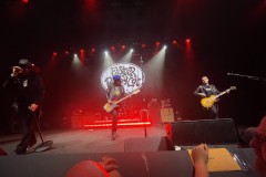 FASTER-PUSSYCAT-LIVE-CELL